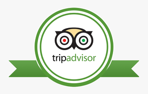 transparent tripadvisor logo