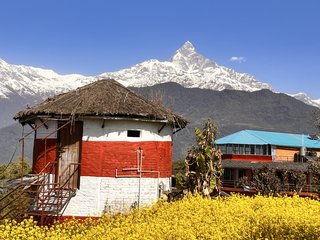 Machhapuchhre View